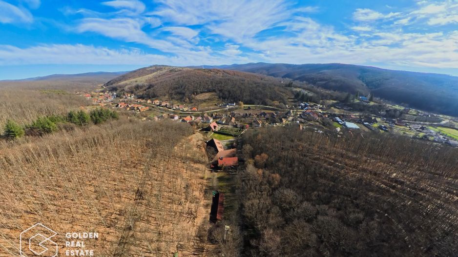 Proprietate pretabila pentru afacere, Cladova - Poză 36