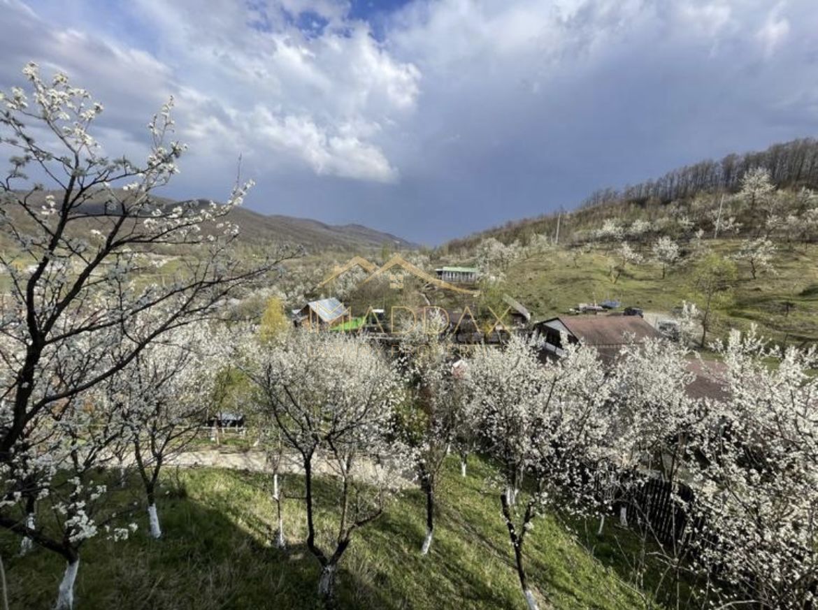 Casa de vacanta**Panorama spectaculoasa//Provita de Jos_Prahova - Poză 5