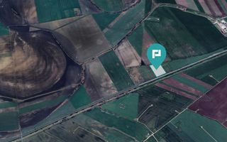 Teren 22.500 mp–Pecica, jud. Arad,Posibilitate PUZ - Poză 16