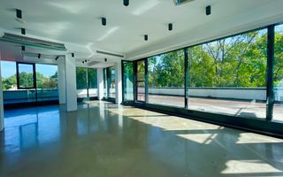 Duplex superb cu vedere  Parc Floreasca - Poză 2