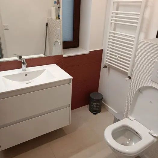 Apartament 3 camere în vilă – 100 mp – Domenii /Arcul de Triumf –750 - Poză 3