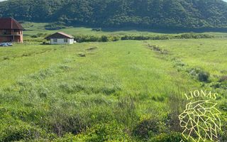 Teren intravilan-Crainimat -3000mp-ideal investitie construire casa - Poză 1