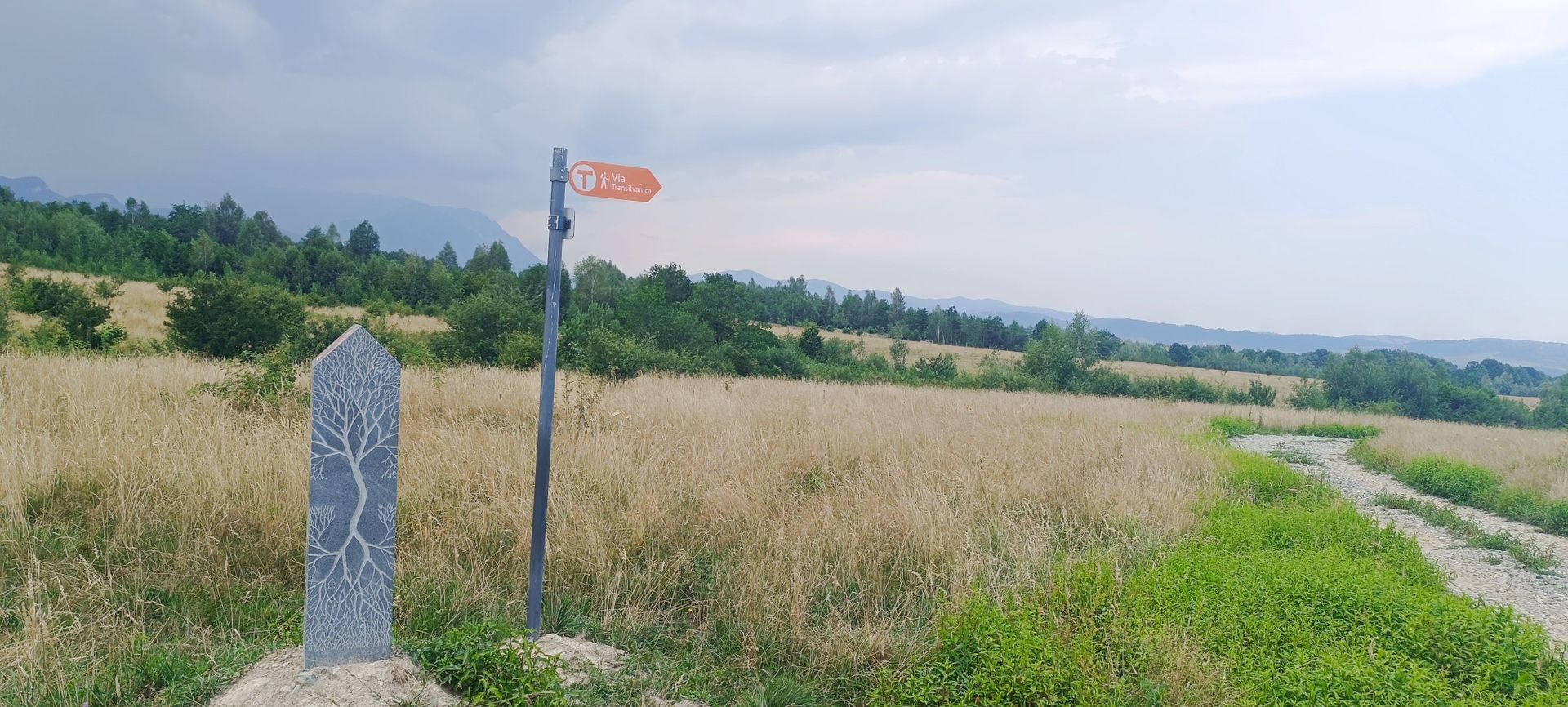 Teren in Rasnov,Glejerie-Via Transilvanica - Poză 3