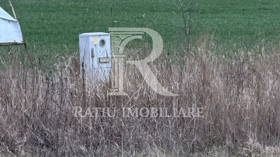 Teren de inchiriat | 20,088 ha | Sacadat | Bihor - Poză 5