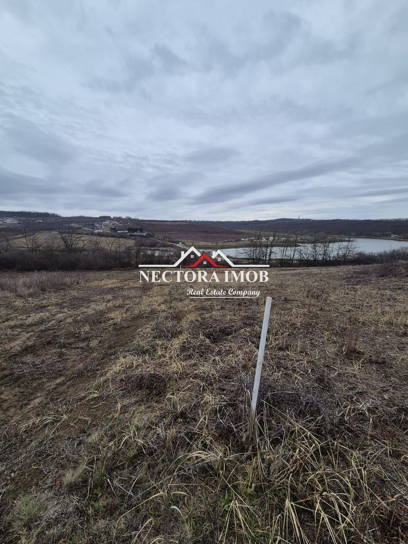 NECTORA IMOB-Teren Intravilan Zona Paleu, 589 mp, Vedere LAC,Utilitati - Poză 2