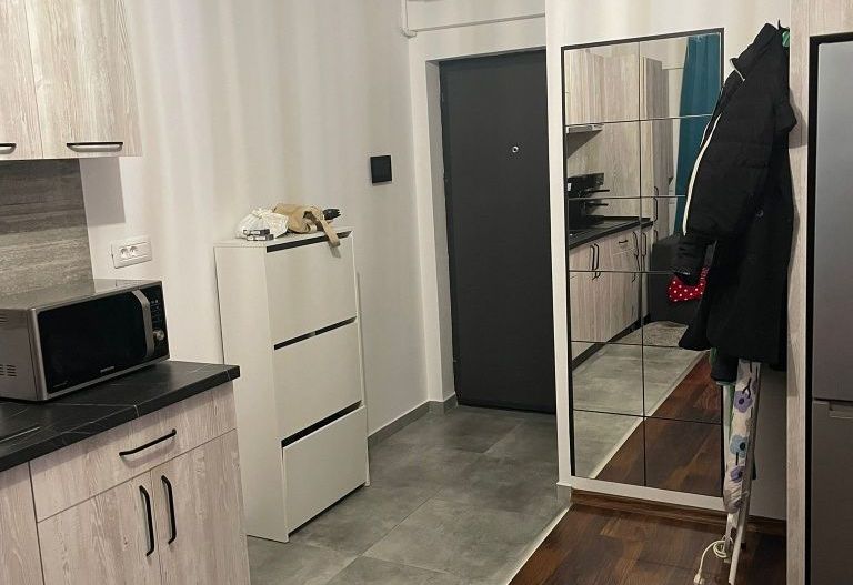 Garsoniera- Brazda lui Novac - Poză 7