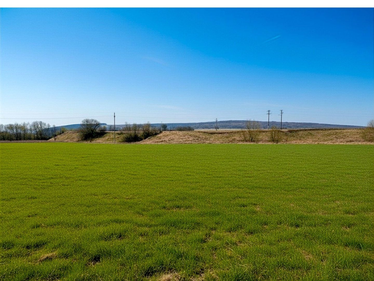 Teren 12.400 MP | 180 ml deschidere E85 | Pătrăuți | 70.000€ - Poză 5