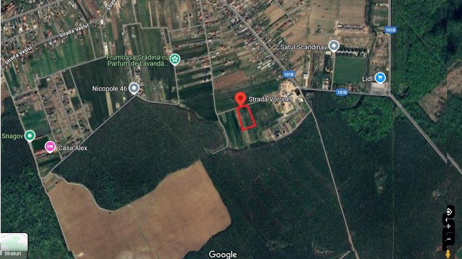 De vanzare teren intravilan 1400 mp|Ghermanesti -Snagov - Poză 1