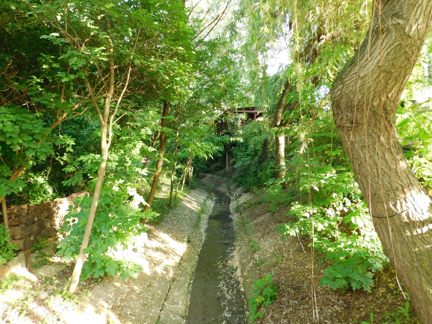 Vilă cu 1.350 mp teren în mijlocul orașului Grădina Botanică - Poză 20