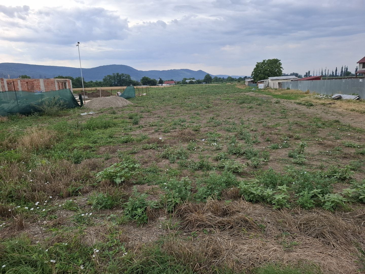 Terenuri intravilane de vânzare în Radomirești – Letea Veche, județul - Poză 11