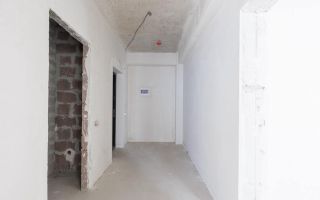 Vânzare, apartament, 1 cameră, strada Calea Ieşilor, Sculeni - Poză 12