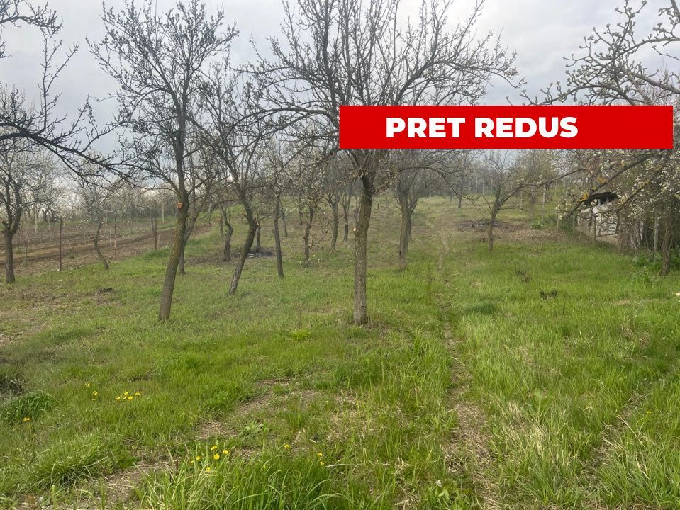 Teren intravilan 2.200 mp cu constructie existenta –Calinesti- Vranesti-Arges! - Poză 1
