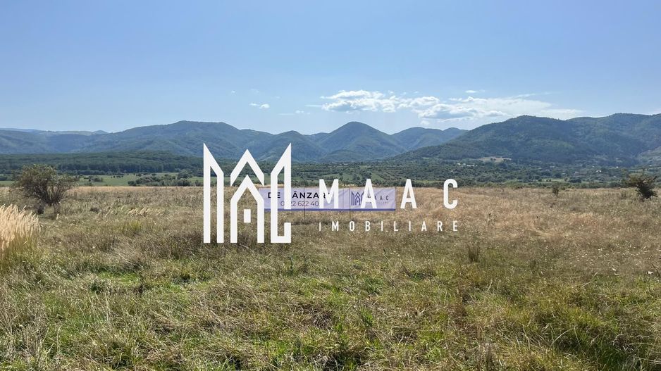 Teren extravilan | 7.800 mp | Saliste - Poză 1