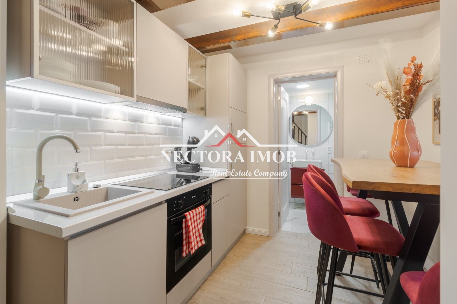 NECTORA IMOB-Casa Ultracentrala Teatru/Piata Unirii, Mobilata/Utilata - Poză 18