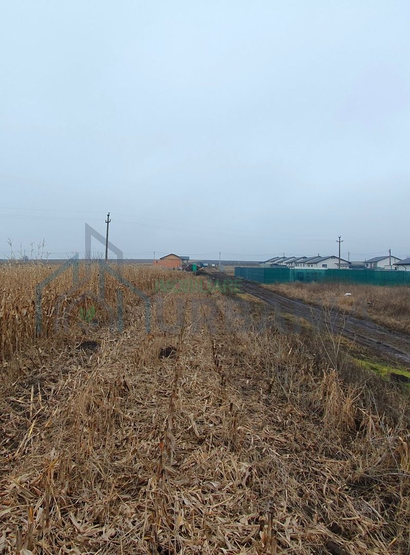 Teren intravilan Holboca 1624mp - Poză 4