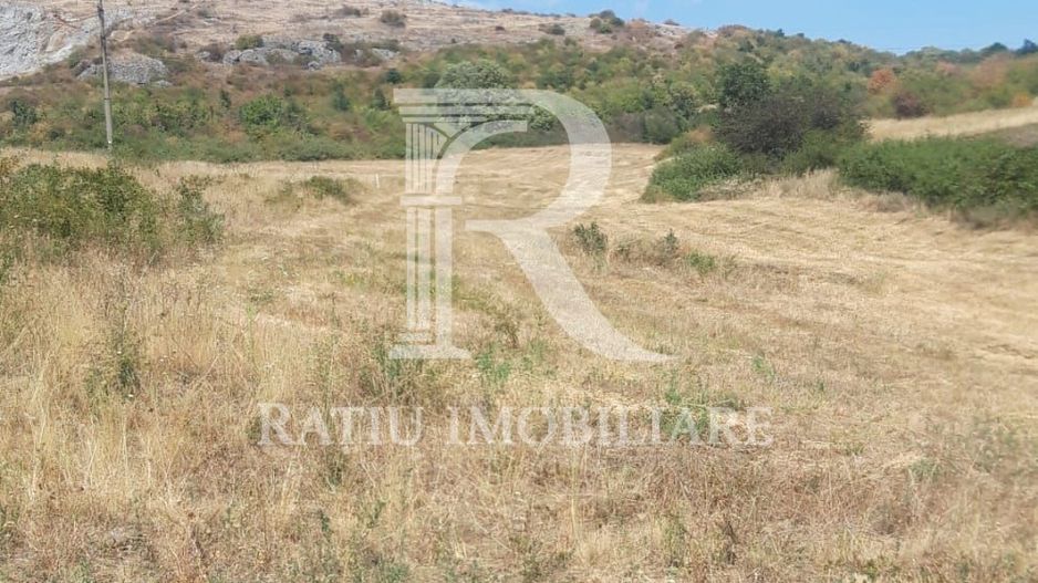 Teren extravilan | Betfia | 7935 Mp | Bihor - Poză 3