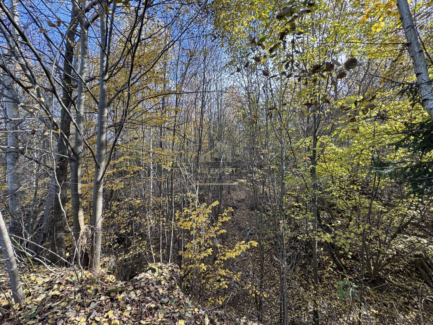 TEREN INTRAVILAN 13167 MP BUGHEA DE SUS ARGES - Poză 21