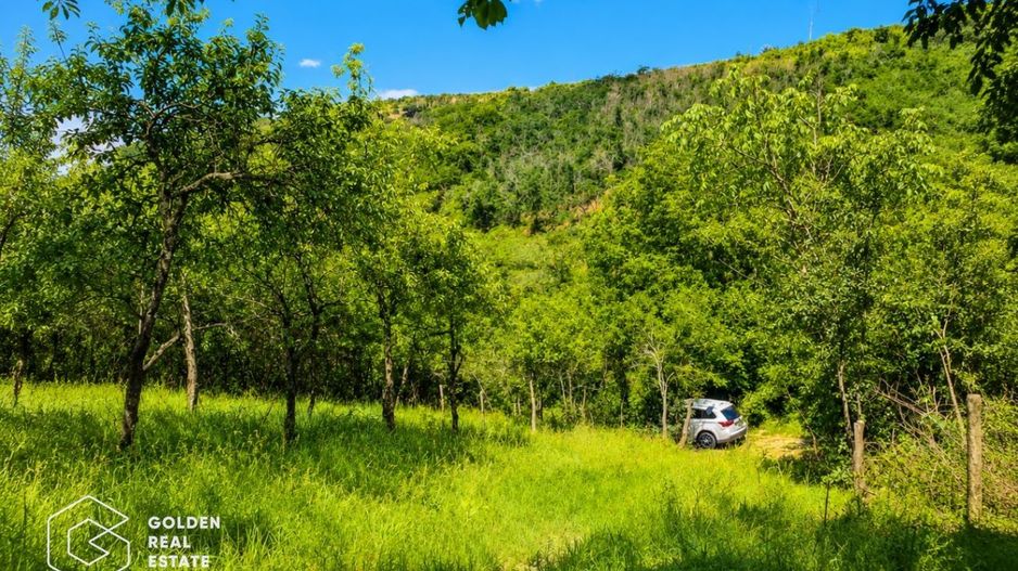 Teren intravilan, 1159 mp, localitatea Ghioroc - Poză 1