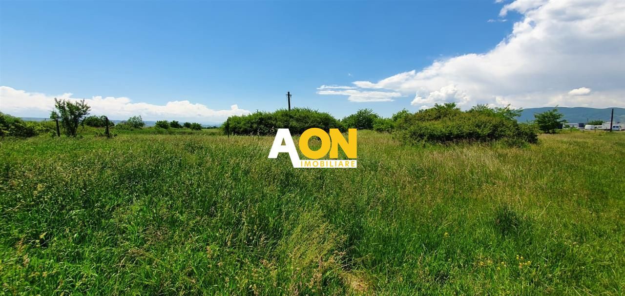 Teren de vanzare, zona soseaua de Centura, 10.000MP, deschidere 50ml - Poză 2