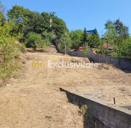 Teren intravilan Turcesti (Pitesti) - 1083 mp, demisol executat - Poză 3
