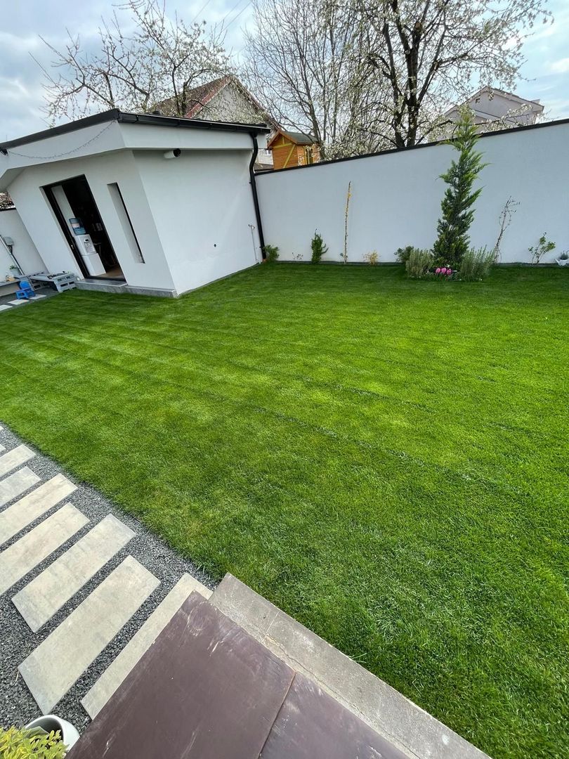 Proiect Modern in Dumbravita - Poză 44