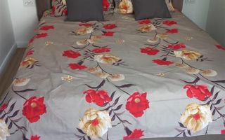 3 cam Judetean etaj 1 RENOVAT - Poză 8