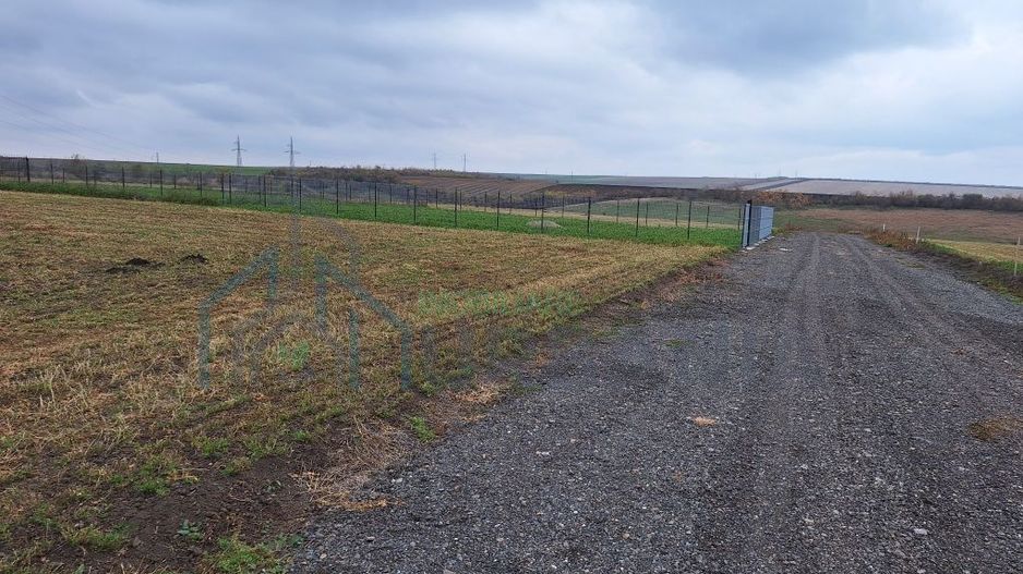 Teren de casă în Târgu Frumos, strada Petru Rareș – 500 mp - Poză 4