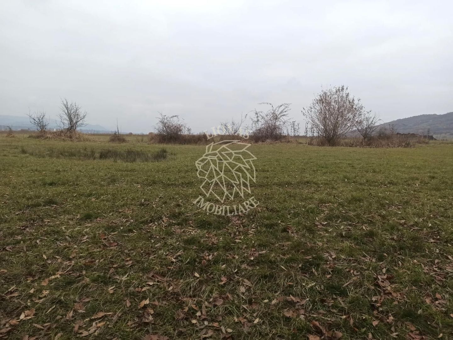 Teren 19611 mp (1,96 Ha)-ideal agricultura, investitie-Zona Aerodrom - Poză 2