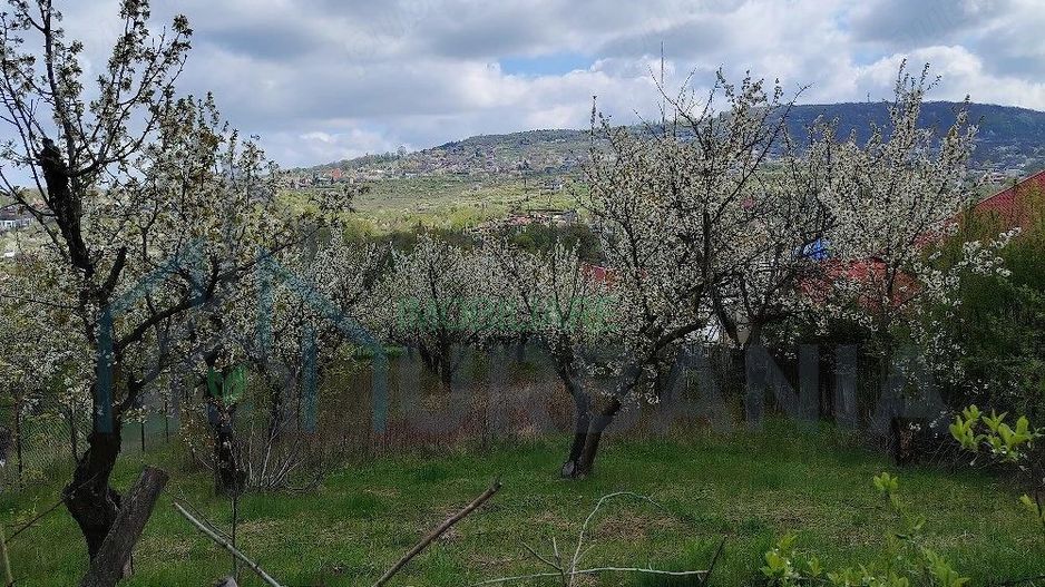 Teren intravilan de vanzare, comuna Barnova, judetul Iasi, 1150 mp, utilitati, destinatie constructie - Poză 2