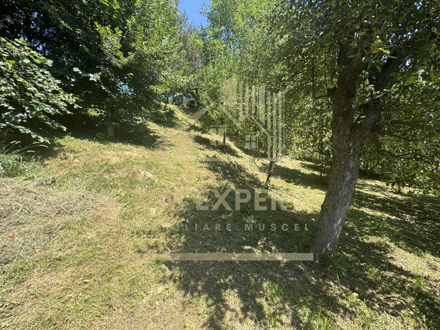 CASA 6 CAMERE TEREN 1005 MP  BUGHEA DE JOS ARGEȘ - Poză 33