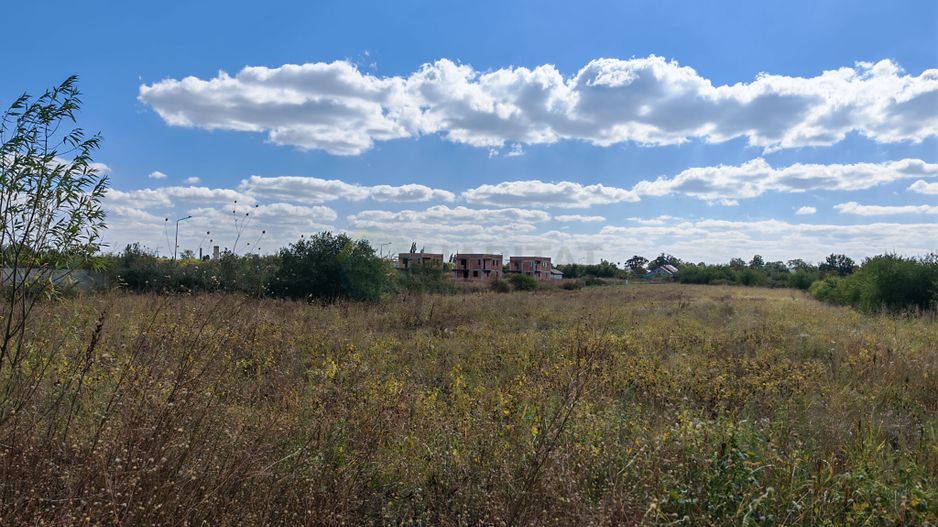 5.900 mp pentru Dezvoltare Rezidențială – Str. Polonă, Periș - Poză 6
