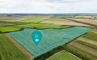 Livadă BIO de nuci de vânzare lângă Cermei - Poză 1