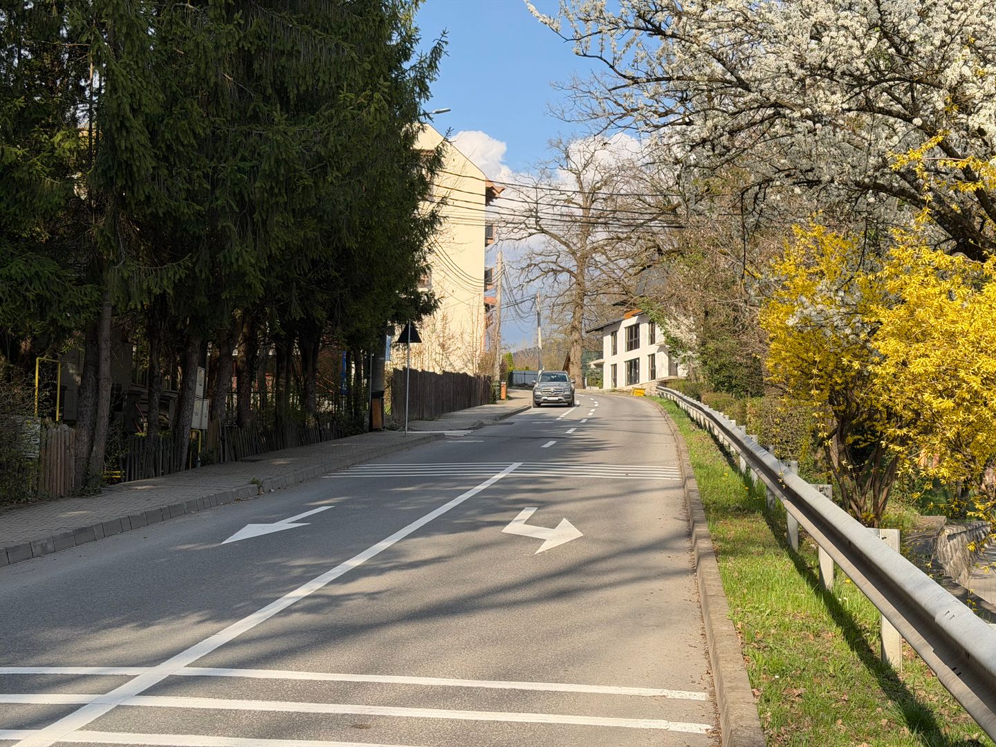Teren cu potential investitional – Sovata, zona Lacul Ursu - Poză 5