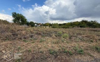 Teren intravilan 538 mp, curti constructii, Sacalaz, Tims - Poză 2