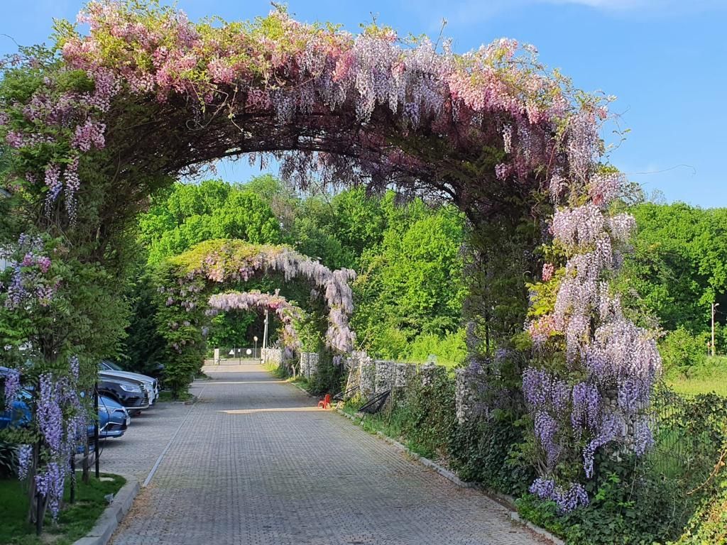 Avangarde Forest 4 - Vila 5 camere | Mobilata complet - Poză 4