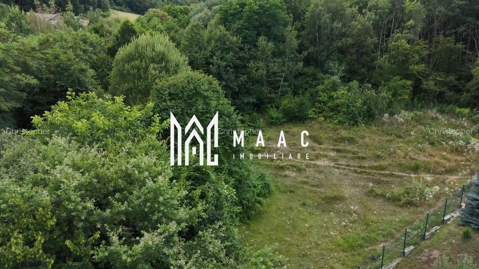 Teren intravilan 2.938 mp | Tocile, Sadu | pârâu natural - Poză 3