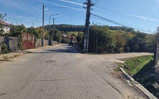 Teren intravilan Topoloveni - Poză 2