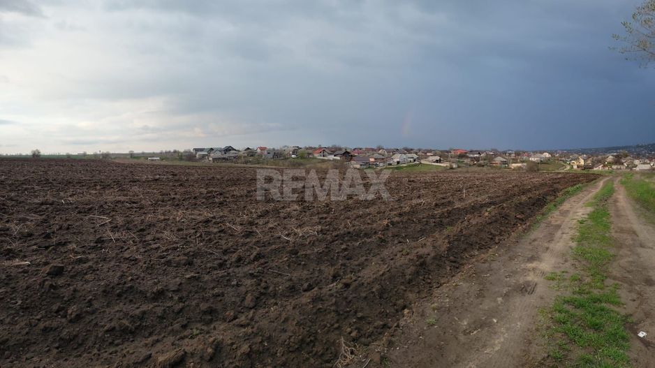 Teren Agricol de Vânzare - 162 Ari în or. Singera, Extravilan 🌿 - Poză 5