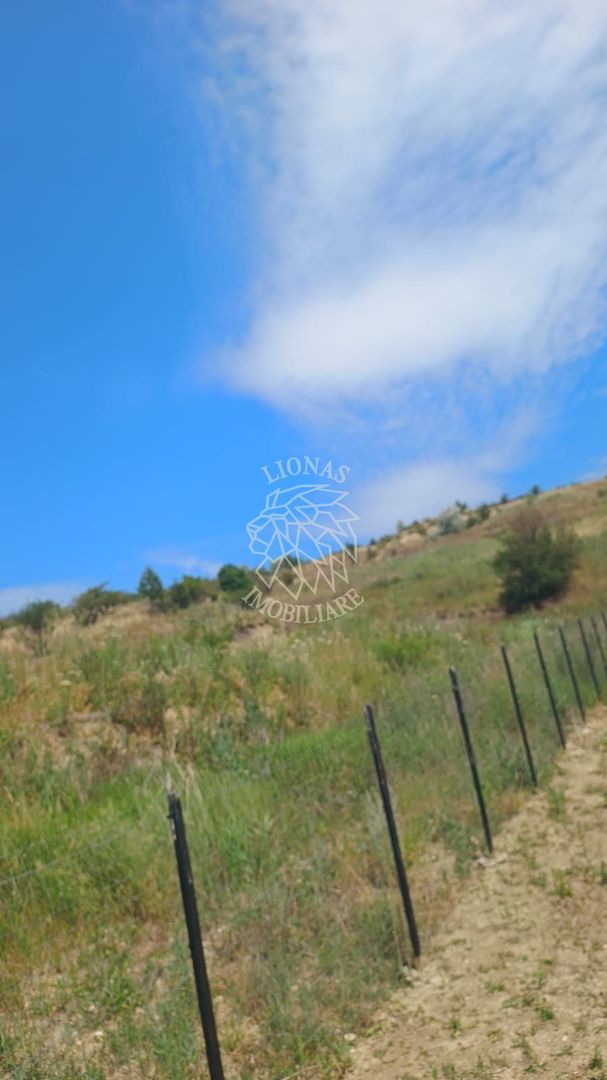 Teren de vânzare 5.665 mp, extravilan, Valea Fânațelor, Cluj-Napoca - Poză 3