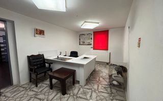 Hala pentru depozitare si distributie | Dumbravita - Poză 11