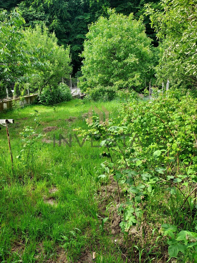 Teren la liziera padurii! - Poză 4