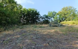Casă renovată în stil tradițional, Romanesti, Iași – 3 camere, 50 mp utili, teren 3240 mp - Poză 14