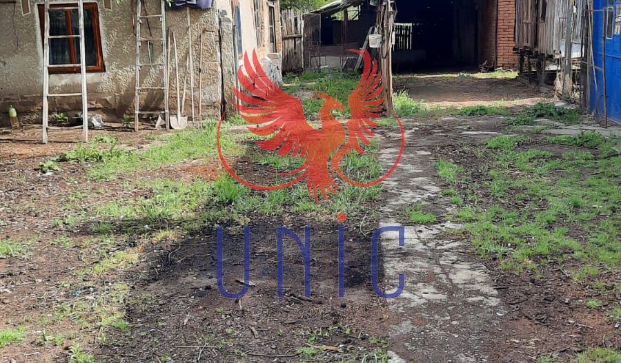 Casa cu teren de 1969 mp - Amarastii de Jos - Poză 6