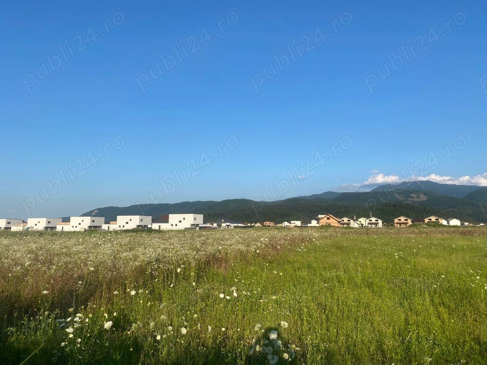 Vand teren 641 mp Cristian - Poză 4