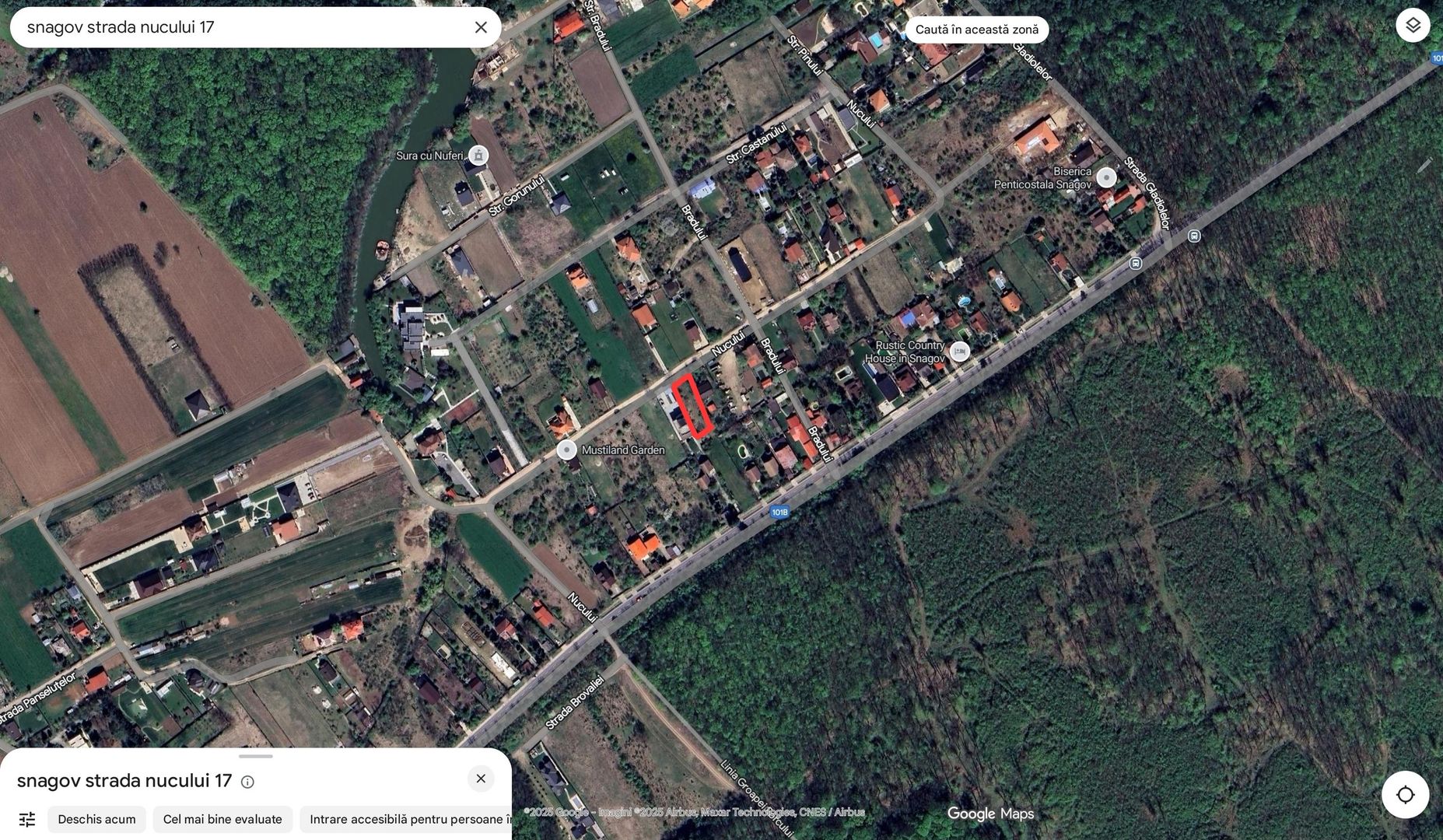 Teren de vanzare ASTORIA Snagov str. Nucului - Poză 5