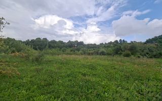 TEREN 20.621 MP CAMPULUNG - Poză 1