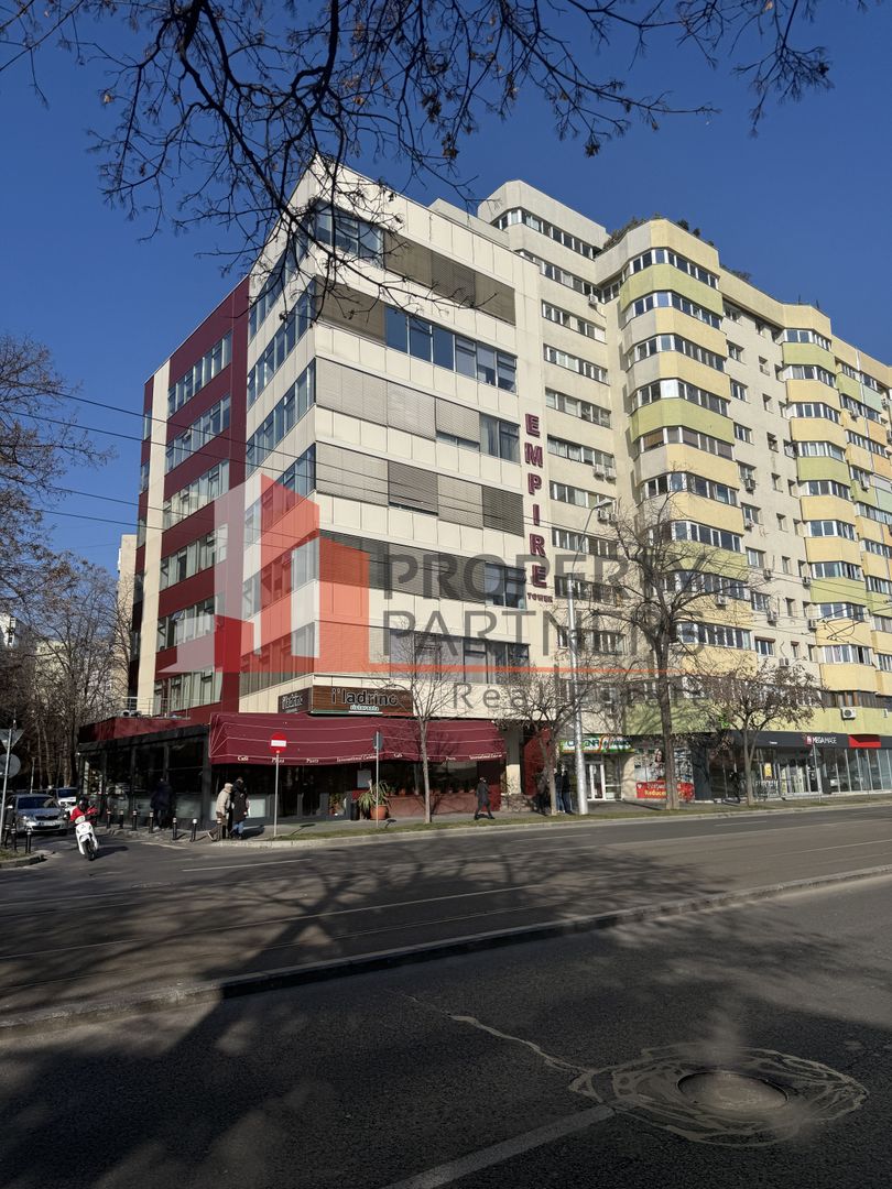 Saptiu de birou Iancului - Poză 7