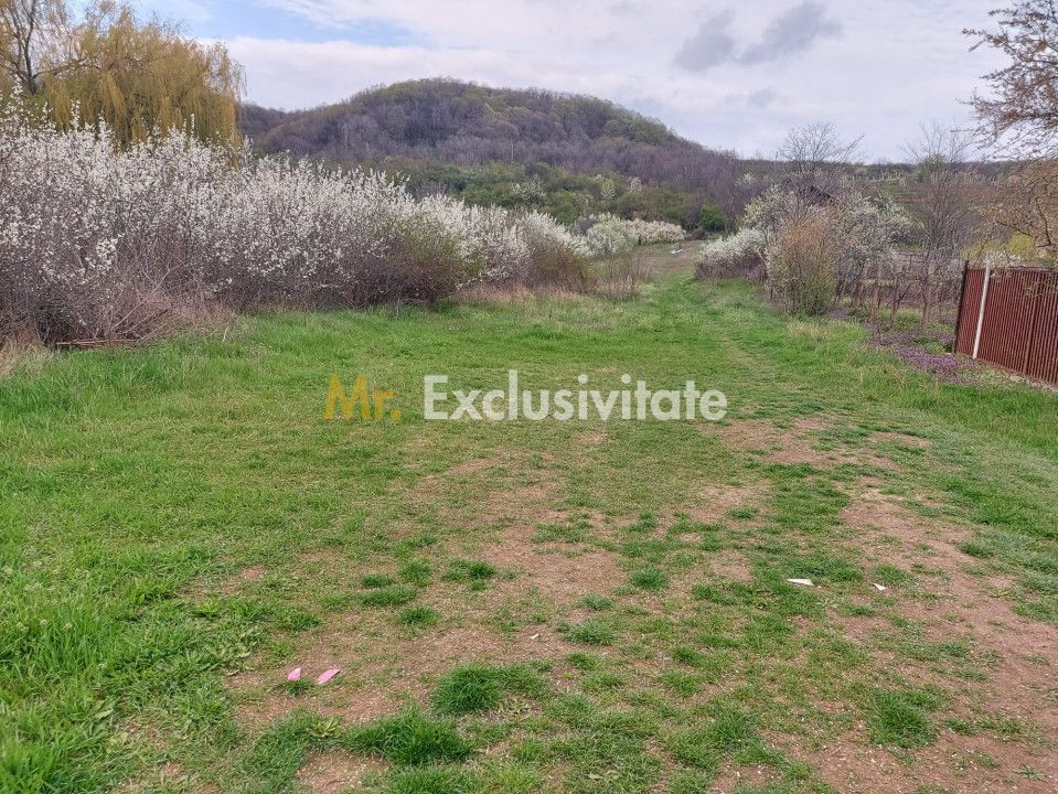 Teren Topoloveni - 3670 mp - langa padure, aproape de Centrul orasului - Poză 2