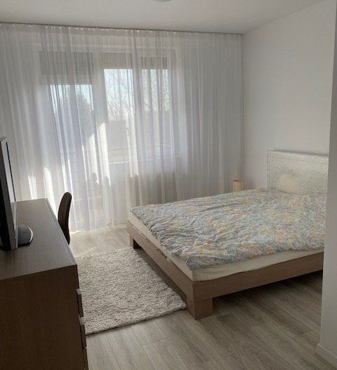 Apartament 3 camere Iancu Nicolae | Zoo - Poză 12