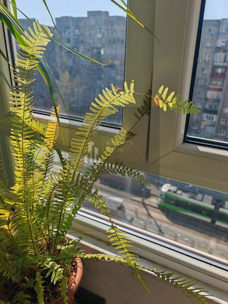 Apartament 3 Camere | Crangasi | Proximitate Metrou| Centrala Proprie - Poză 3